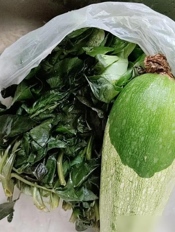 冰箱调温别瞎搞！这些坑你可能天天踩(图7)