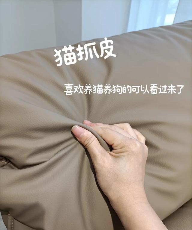 这6种沙发为何突然没人买了？看完它们的缺点，就一点不奇怪了(图2)