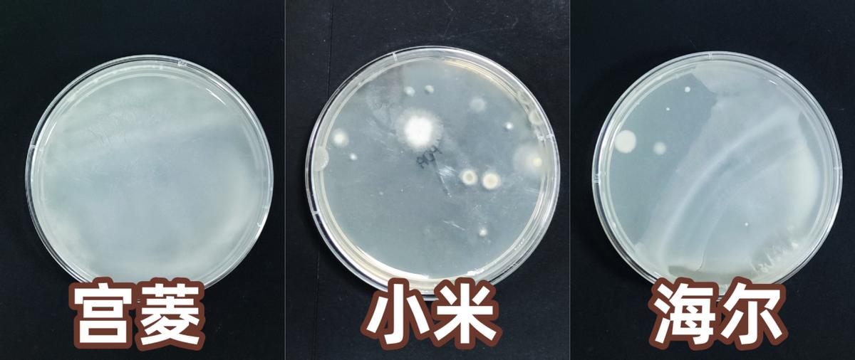 宫菱|小米|海尔加湿器怎么样？红榜明星品牌单品测评对决(图8)