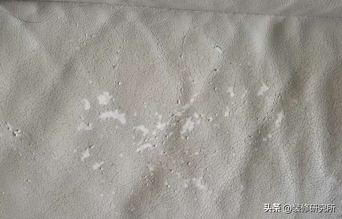 丑沙发大盘点！这6种沙发谁买谁后悔，避坑指南值得收藏！(图21)