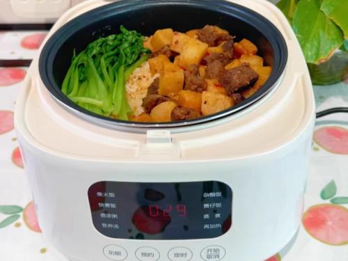 电饭煲哪个牌子好用质量好？2025排名前十名的品牌测评种草！(图4)