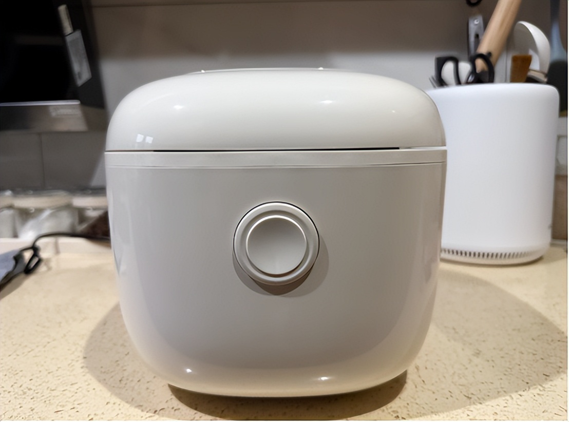 电饭煲品牌排行榜前十名：实测揭秘哪个牌子好，别错过！(图11)